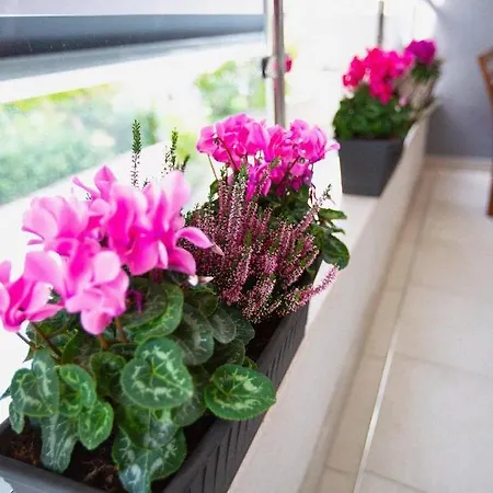 Prekrasni Apartman Roza S Velikom Terasom * Podstrana